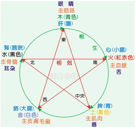 人的屬性 金木水火土|金木水火土命查询表